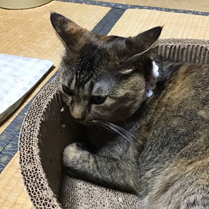 840c8d03 6597 46e8 bef5 e3530fa93d4c 1724150383748