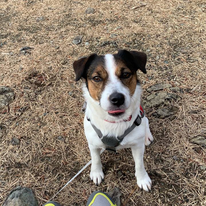 840c9a35 1928 41f4 9a89 58c7be9069f3 1577604237434