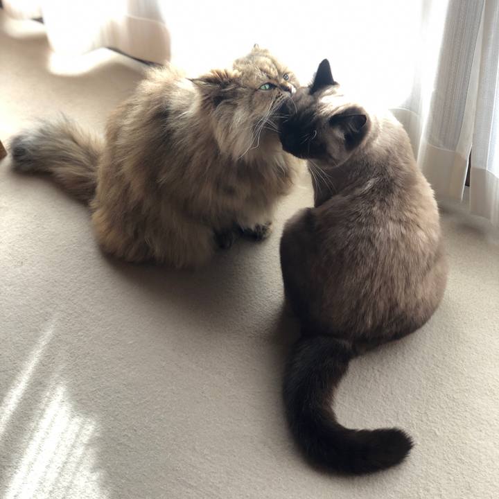 840ca072 7621 475e af21 422d96cc85e0 1610249080179