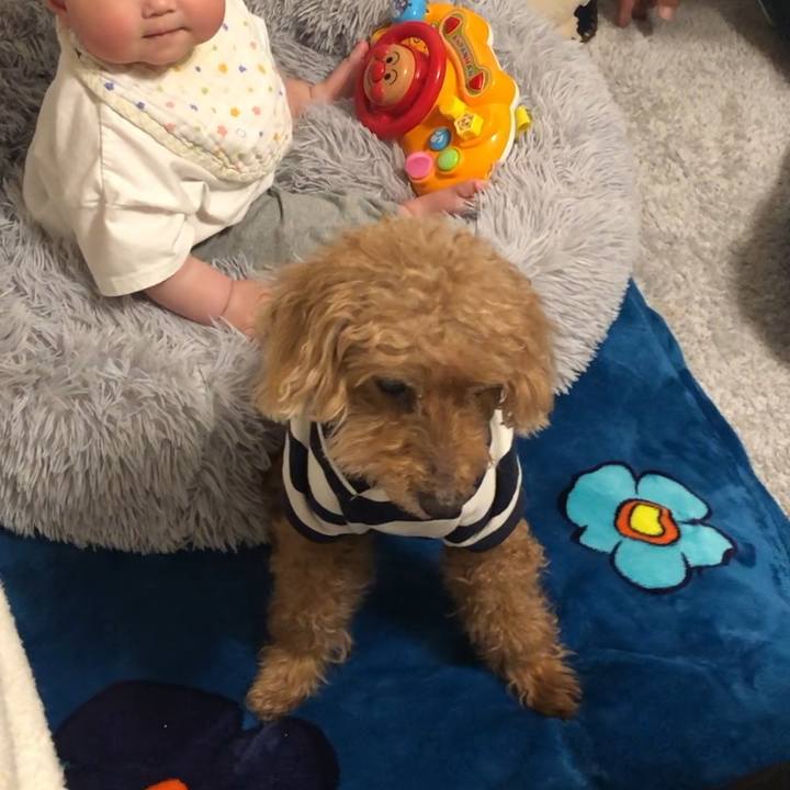 840cdcd5 6eae 4e76 aeb0 3ccfcb45c152 1651874579817