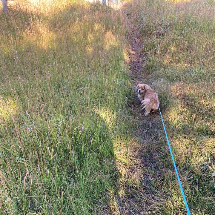 840d1431 fce1 45db b51a 55294b2253fc 1669512769026