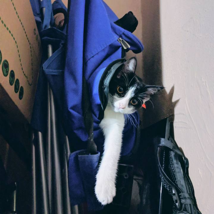 840d1f16 ca11 415f 81c7 216af0b08639 1520009258920