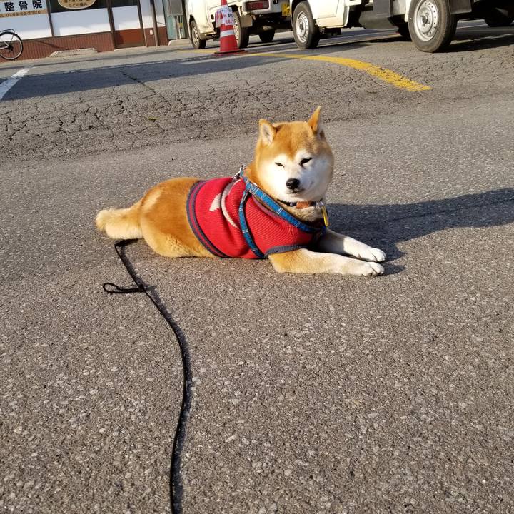 840d28e1 458e 46ba 9ce4 b3814393989a 1554708721262