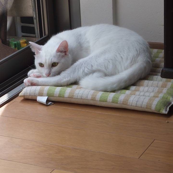 840d2efa e50f 4c98 8611 706fdd20be4c 1631425234196