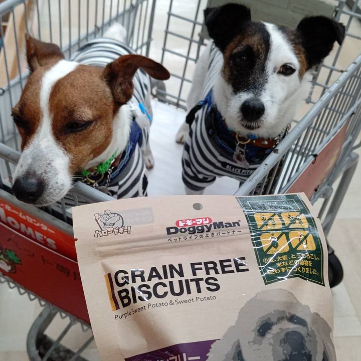 840d4be8 faab 4594 801f 73b9b7c2f374 1625284969224