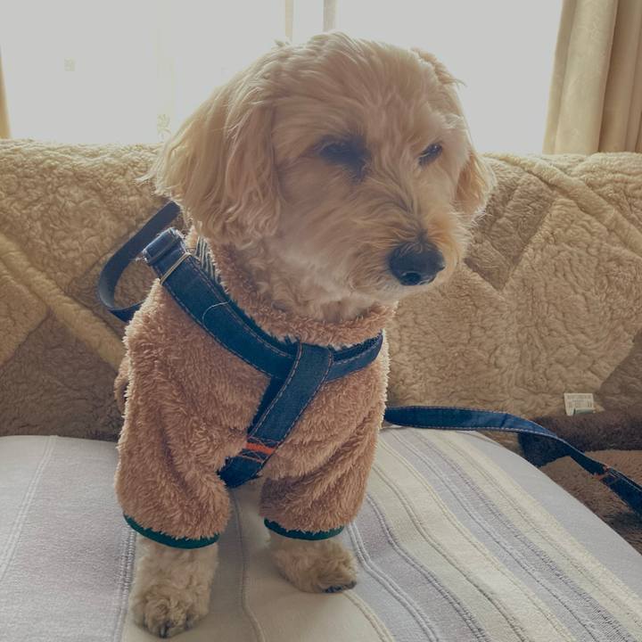 840d53f3 6d28 4123 ad60 d57163518b6e 1765618037789