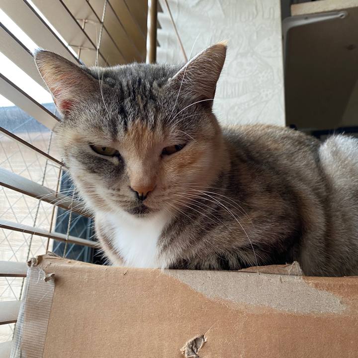 840d6239 cafd 436b 8786 25cdcc87e0f1 1577342959317