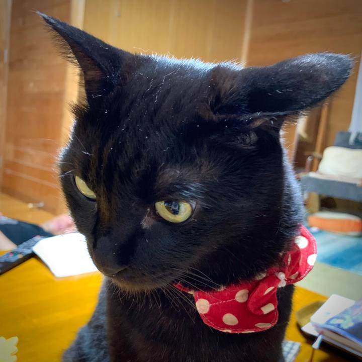 840d666d 6554 44f3 a27e 035eb0ef4f0a 1592051003422