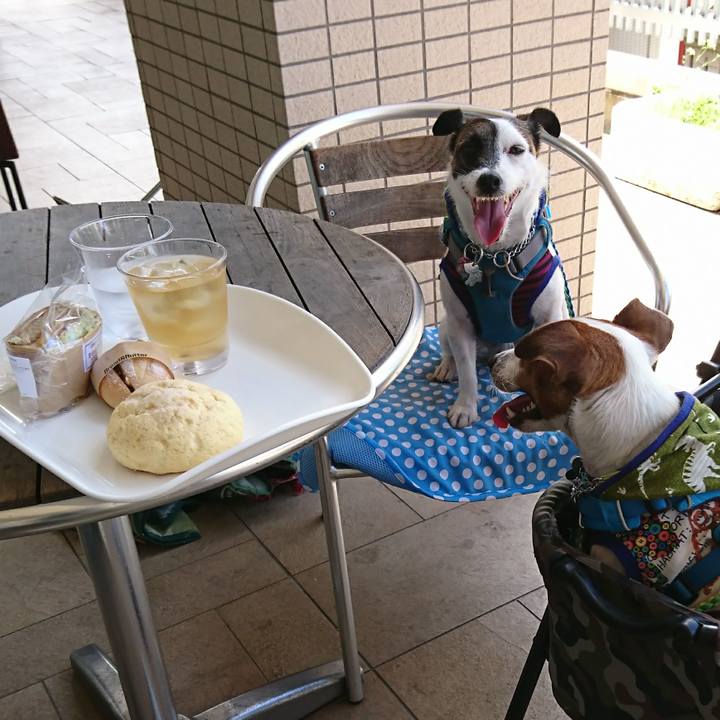 840d6f09 5496 4672 8034 a570c68ce30a 1591848162949