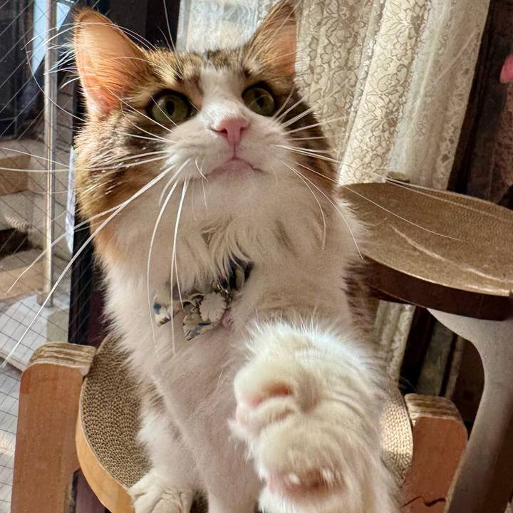 840d7fa5 ef19 4e38 a5e7 b9b221927c1e 1763357725554