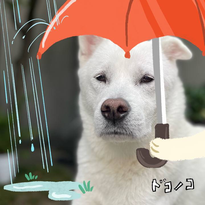 840d9aef addc 4f9c ae4a a9eccc805e06 1749198613043