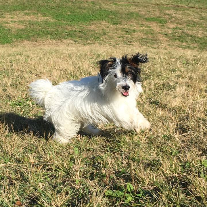 840dab7d 30a6 4e97 8d8f 9cb6cd38cbb2 1509926012617