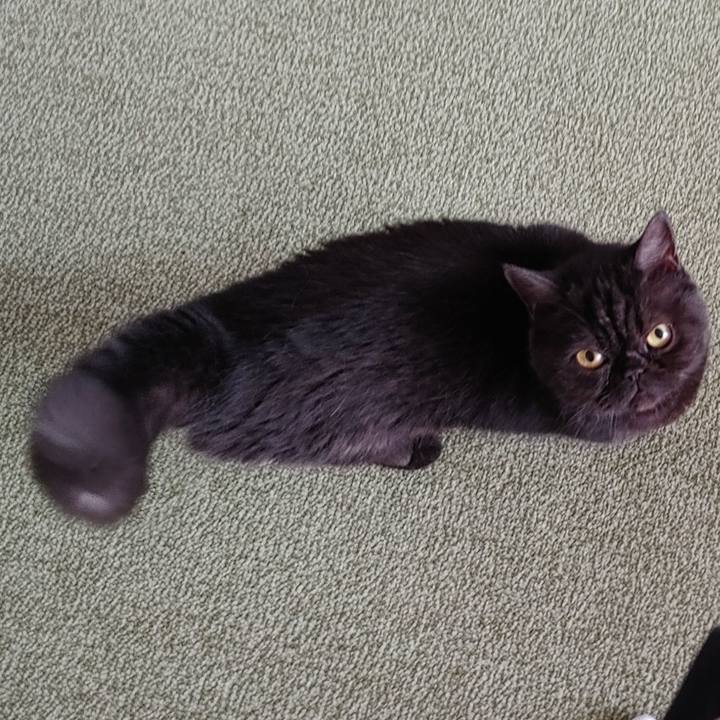 840dbca0 02ff 4cff 870b 10117a993860 1660350506025