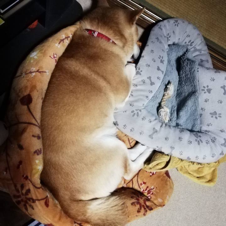 840dc4b2 a7d9 49d5 82e6 e50ba883d814 1590192742993