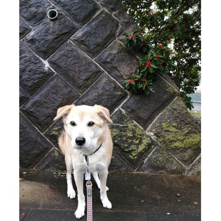 840dc8bb 4b82 4028 ac8b 58f5eaf16fb9 1576573155545