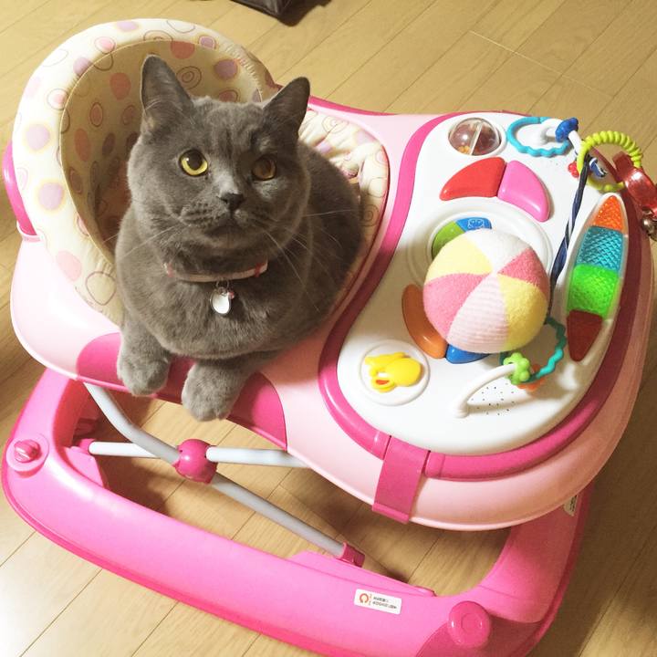 840de9e9 ac06 465e bf49 104aa48a2e92 1773479311449