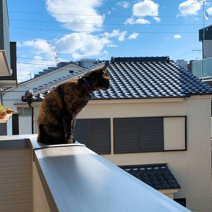 840deb3b 9a8b 4cd5 95d8 1dbcff2c0af3 1552139349656