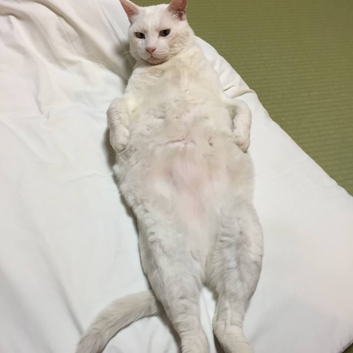 840e5e76 6cc9 46ae a2b5 ddae8edfed3a 1559221477562