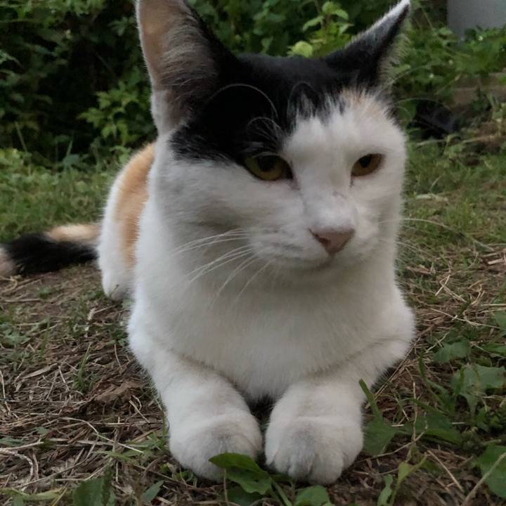 840e6e8e bf0a 4b0c 9c68 2bf00cd947c5 1601544010301