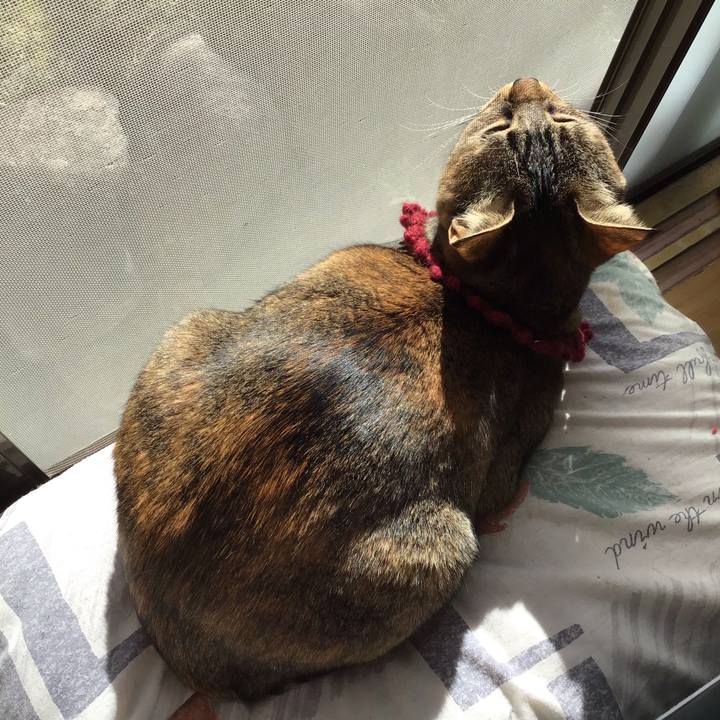 840e8829 f7c5 4d0e 93c5 15ded711801d 1615680536626