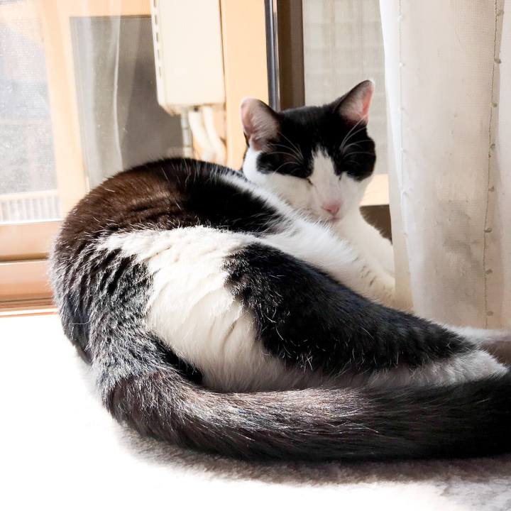 840ebac7 144d 4455 b5e9 607ff4307e1c 1522642421218