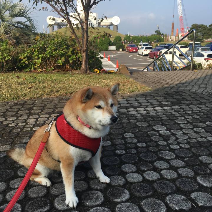 840eca73 3ceb 4e16 8e9a 5a8dfa68527d 1604386761390