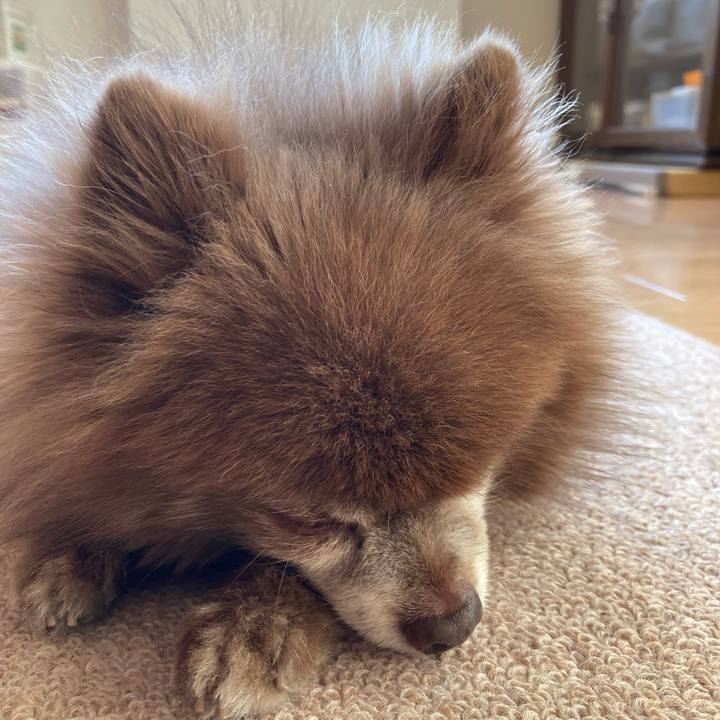 840ef2d4 089d 4fc7 9868 a57c968721e9 1668896715548