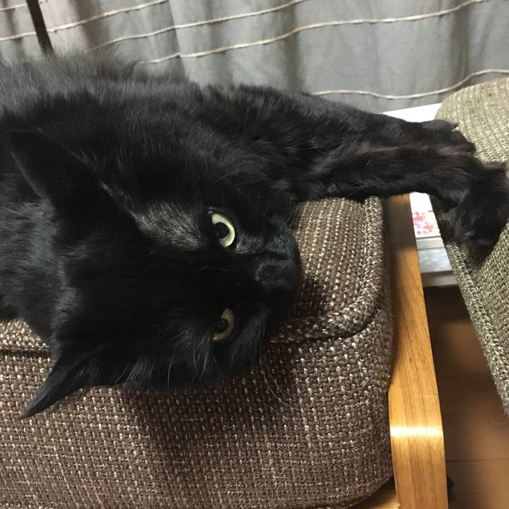 840f0115 f09d 4b12 ac80 c9a79a4923b6 1522757072121