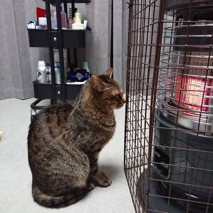 840f0f6d 2997 4b50 8518 6d2c92700b84 1521648517243