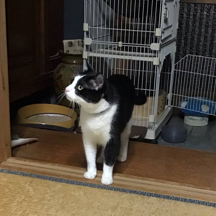 840f6ad2 8b35 401c 891c 628730a720bf 1753184296112