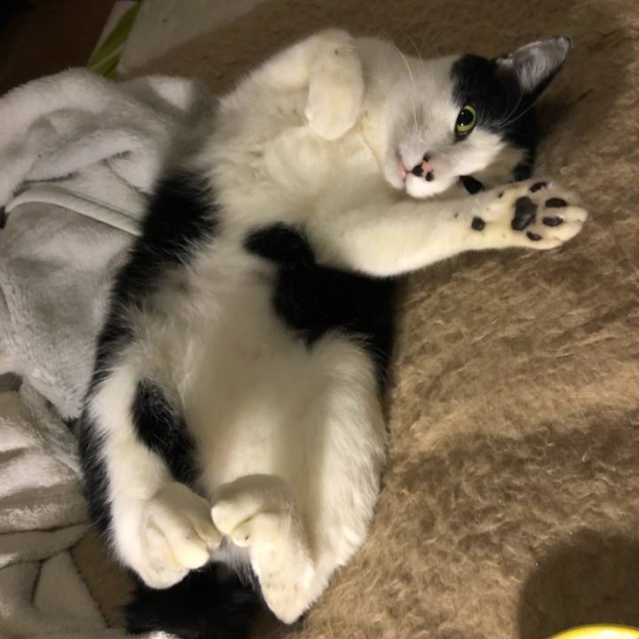 840f779f 42fa 4d2d 835b 6cc7fe0f4755 1546602054280