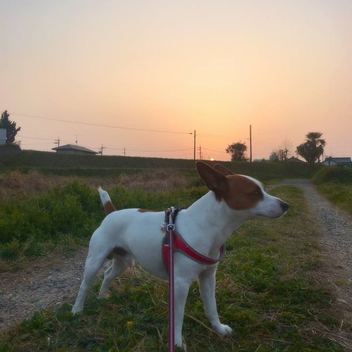 840f77d0 69d9 4649 a90c f6a65638cee8 1522664282761