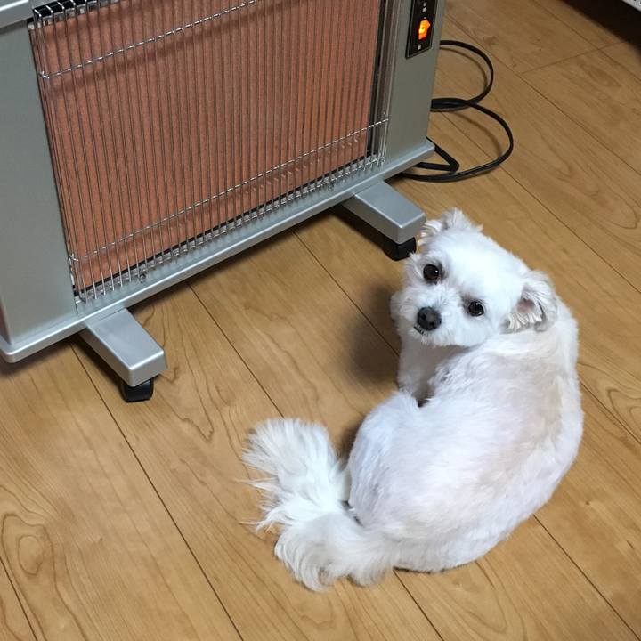 840f8521 0bd0 472a 9742 1c1332a3c3b6 1508144300955