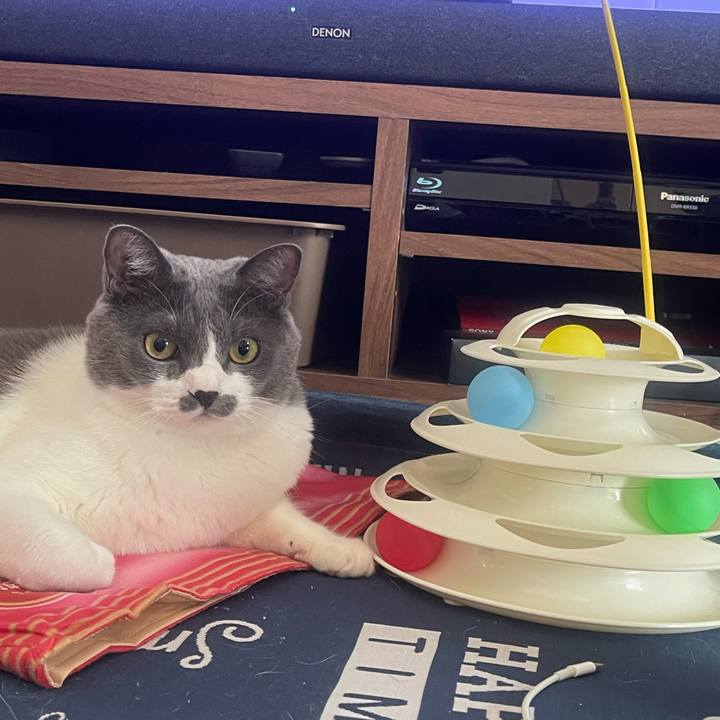 840f94e2 b7a2 4760 8788 b4229a8a8a21 1722840697094