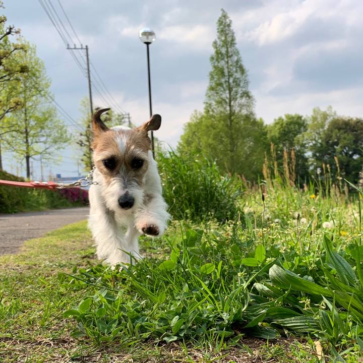 840fa551 0ac0 4f15 9c4e df6e0385bad4 1588230029020