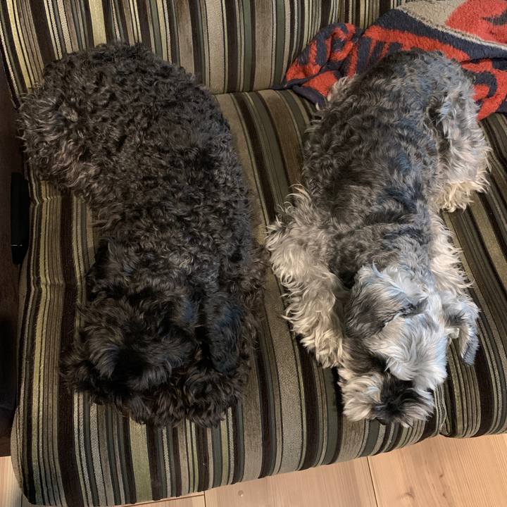 84100158 29d7 4de9 81f6 3a3030dd5cf2 1650435377693