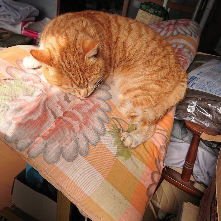 84100a6c ba0b 4522 bef2 e29ab8b548ab 1581140229612