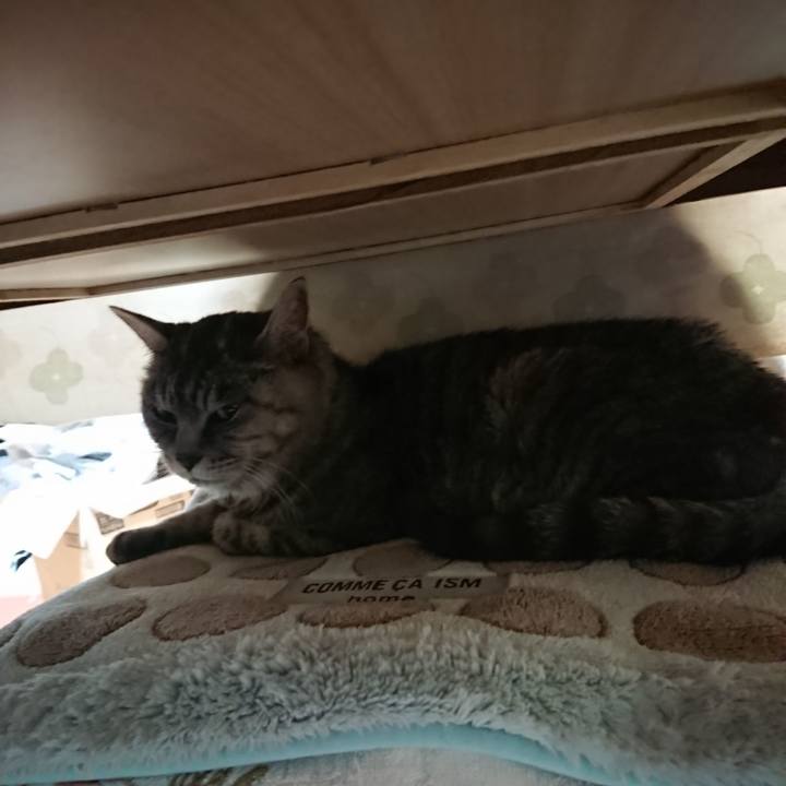 84102534 ab5d 425b b261 3058ebc2de14 1572395397545