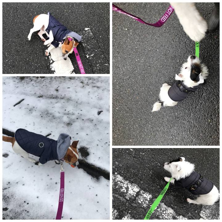 84102c15 2f0e 49d0 8f3e ce7fbf80d5f3 1517536283904