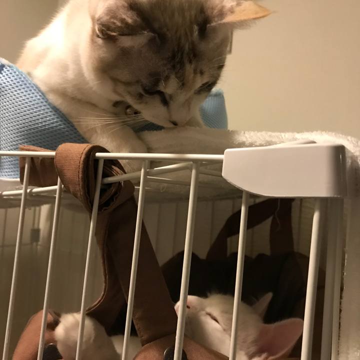 84104e24 c7db 47f5 8c43 a1d305e8afa4 1510318543779