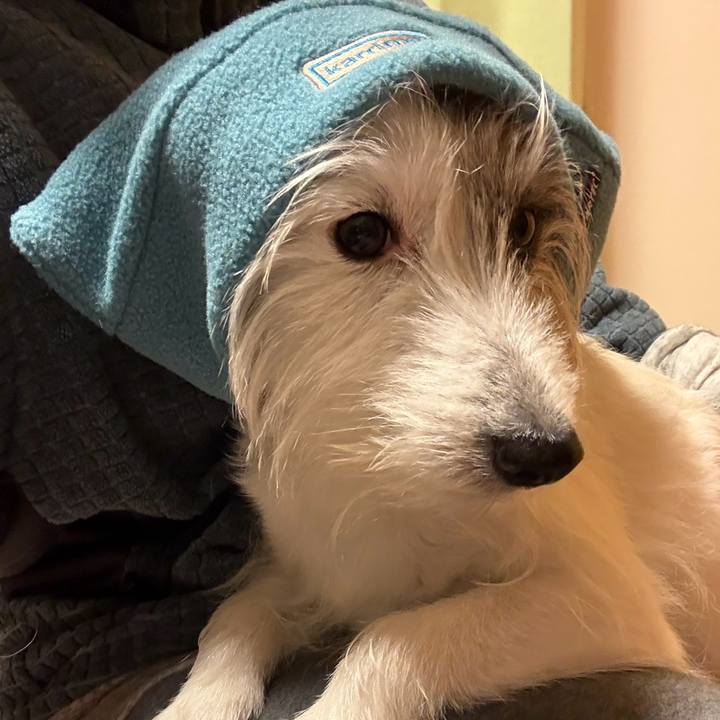 84105161 61e3 46a6 9dcf 28f44221e611 1769225604111