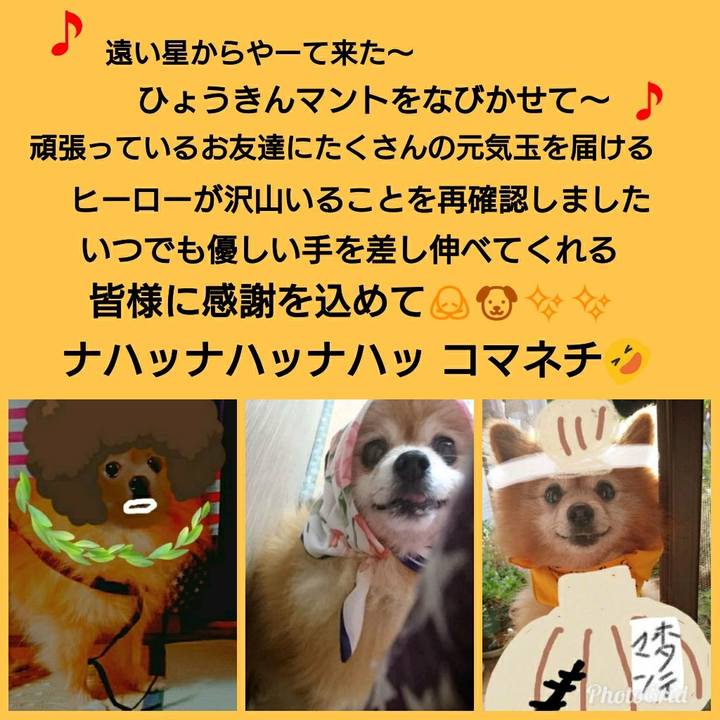 84105750 33fb 455a b54b 194f52c11656 1536501539370