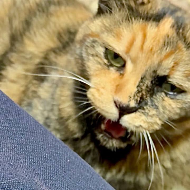 84106ac8 fd9b 4659 a78b 855994983ba5 1753616367947