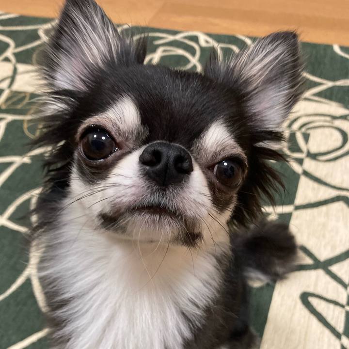 8410862d 6a35 4029 9e31 1478a54af000 1632577548572