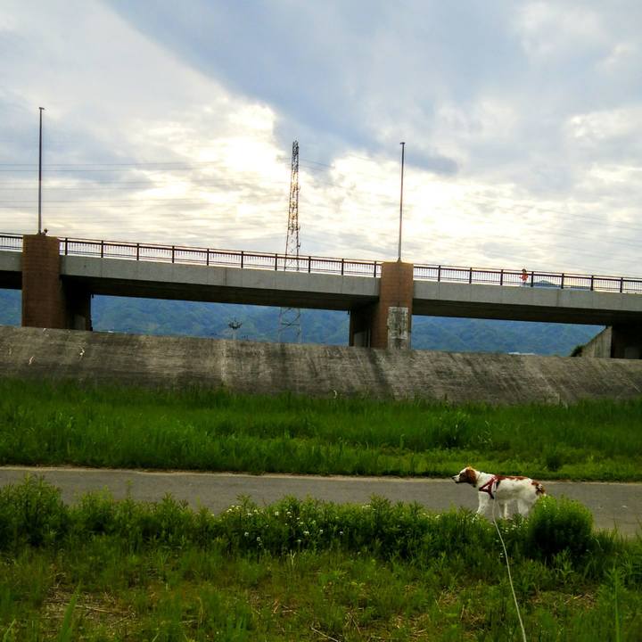 84116d13 9302 46cd aa5b a2b9265c369e 1525219394050