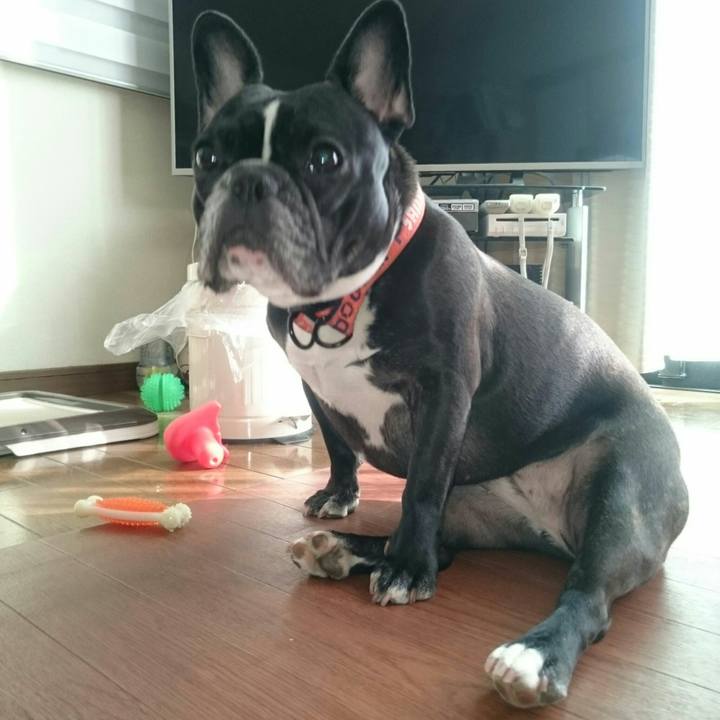 84117718 6efa 4fae 8c94 1bae5ae41135 1524208195432