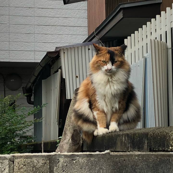 841187ca 8251 4cdb 9f55 3fa82a3edee7 1603576414131