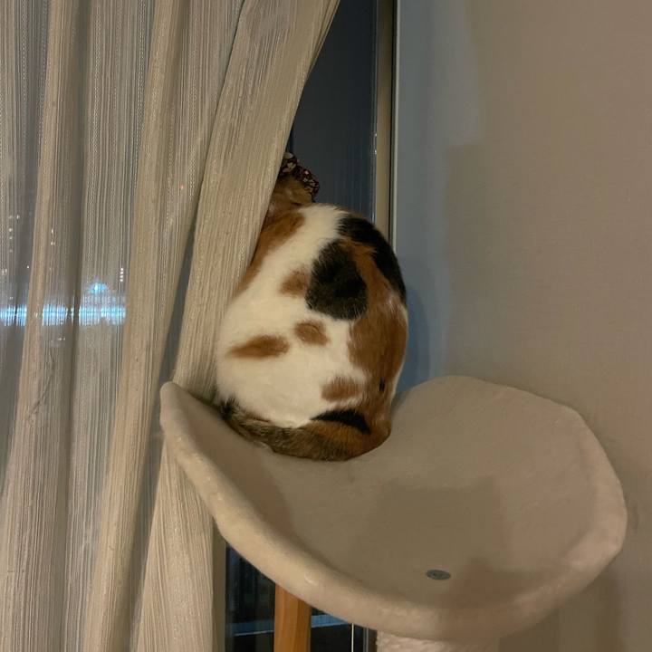 84118c75 1303 4ddb 91b3 4ec405716852 1732888590943