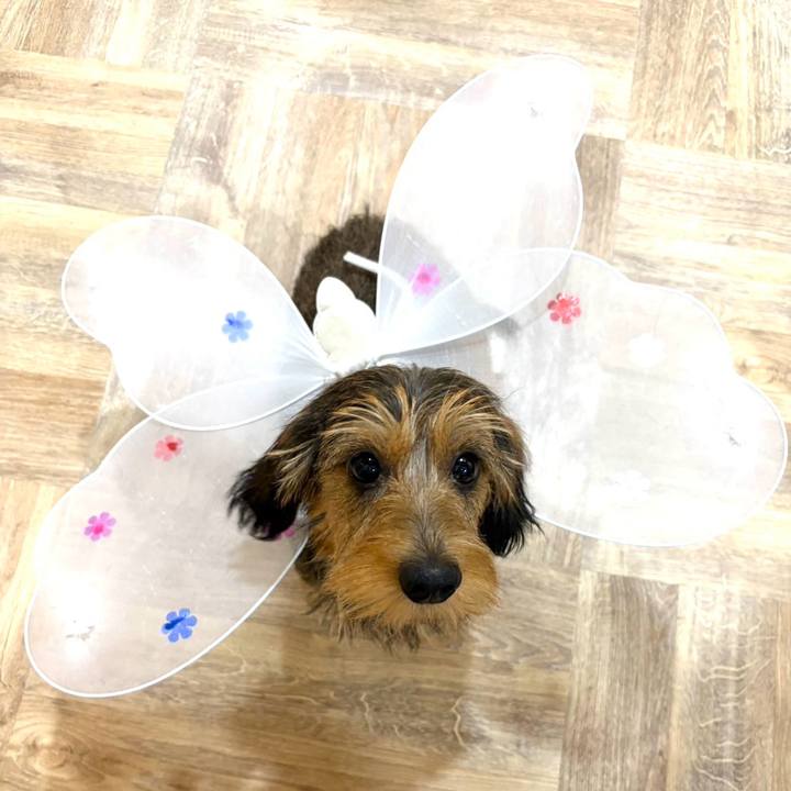 8411b257 9dc4 4c04 9588 b912b5bb50f2 1759023473018