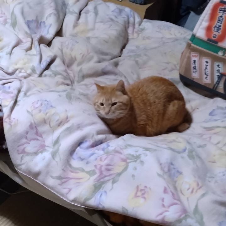 8411cfb7 0cdf 4d79 b6fd ab8c5957acec 1678882767167